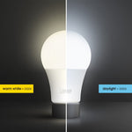 10W (60W Replacement) Daylight (5000K) E26 Base A19 General Purpose LED Light Bulb (10 - Pack) - Worldwide Electric Supplies