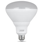 13W (65W Replacement) Daylight BR40 Dimmable Reflector LED Light Bulb 2 - Pack - Worldwide Electric Supplies