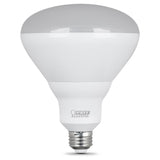 13W (65W Replacement) Daylight BR40 Dimmable Reflector LED Light Bulb 2 - Pack - Worldwide Electric Supplies