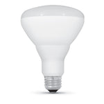 14W (100W Replacement) Daylight (5000K) E26 Base BR30 Dimmable LED - Worldwide Electric Supplies