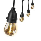 20 Ft. LED S14 String Lights - Worldwide Electric Supplies