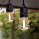20 Ft. LED S14 String Lights - Worldwide Electric Supplies