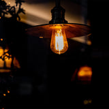 5W (60W Replacement) Amber (2100K) Vintage ST19 Smart Wi - Fi LED Light Bulb - Worldwide Electric Supplies