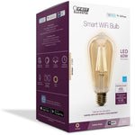 5W (60W Replacement) Amber (2100K) Vintage ST19 Smart Wi - Fi LED Light Bulb - Worldwide Electric Supplies