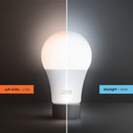 8.8W (60W Replacement) Daylight (5000K) A19 (E26 Base) Dimmable LED Light Bulb (8 - Pack) - Worldwide Electric Supplies