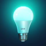 9W (60W Replacement) Color Changing RGBW A19 Alexa Google Smart Wi - Fi Bulb - Worldwide Electric Supplies